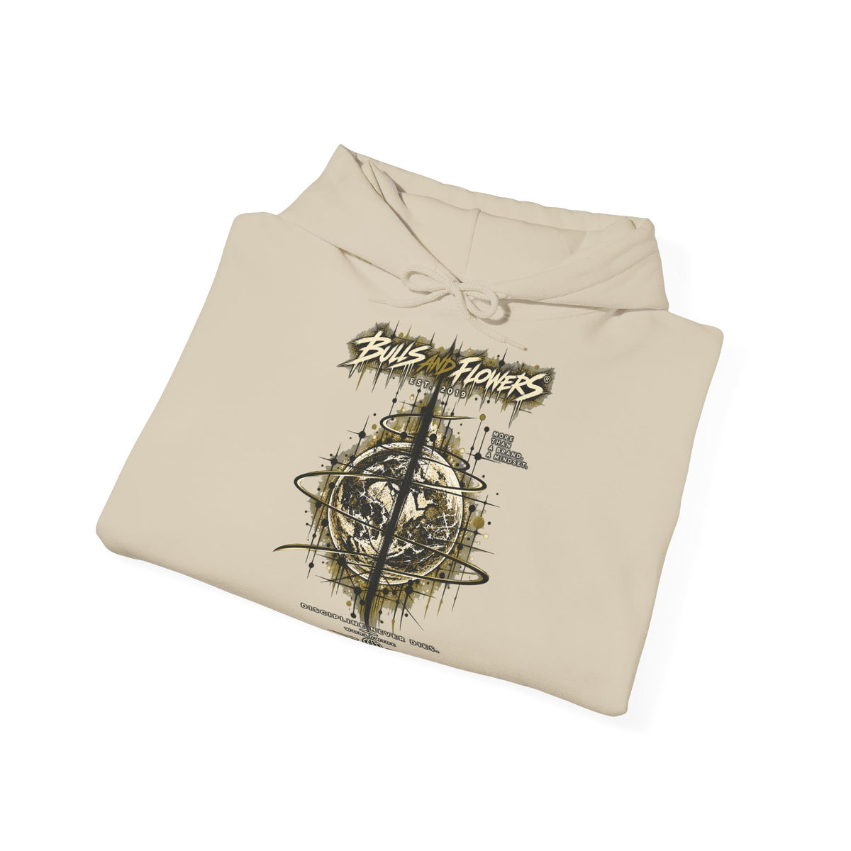 BaF Distressed Compass Skull -huppari