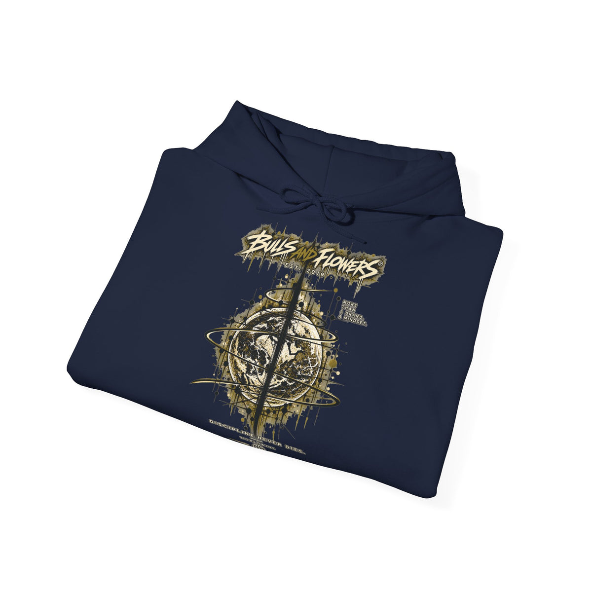 BaF Distressed Compass Skull -huppari