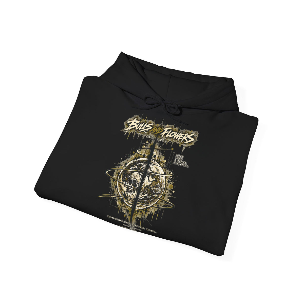 BaF Distressed Compass Skull -huppari